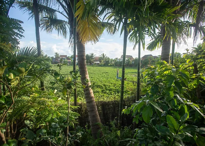 Khmer Oasis On The Villa *